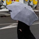 블런트 우산 솔직 후기｜바람에 안 뒤집히는 우산 직접 써보면 감탄하게 됩니다