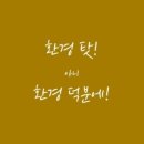 비더세르파