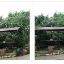 고성펜션 화포리 이미지