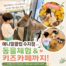애니멀케어 | 용인 아이와 가볼만한곳 찾는다면? 애니멀클럽 수지점 솔직후기