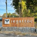 10시목요 성인요가 | [내돈내산] 에가톳 캐빈 제주 | 한라산 단층 객실 솔직 방문 후기