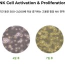 구로-구로-구로-1633 이미지