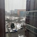 학자농원 | [1월] 소식좌 가족이여도 먹는 건 대식좌 가족처럼 차려먹기