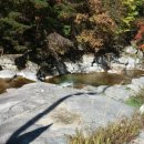 인현중앙길 이미지