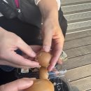 천지목장 | 파랑새투어 서산 유기방가옥 당일 버스투어 후기 (서산한우목장,서산동부시장,해미읍성)