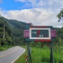 여울애꽃물들인 이미지