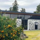 미깡낭밭 이미지