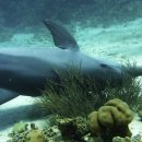 산호약국 이미지