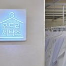 보고세탁소 이미지