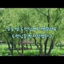 곡명 . 도련님 가사 / 노래 . 문연주 이미지