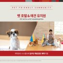 고운유치원 이미지