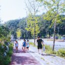 연신초교 이미지