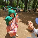 🌳 숲놀이-나방관찰하기, 텃밭 꽃상추 수확하기 이미지