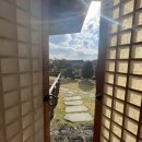 남극노인성휴양펜션 | 제주 서귀포 숙소추천: “남극노인성” 전통 독채한옥펜션에서 힐링 (단독 사우나 사용가능)