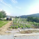 어반스캐치 이미지