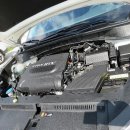 황금카모터스 이미지