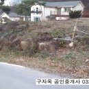 산밑 남서향의 강화전원주택 부지,불은면263,강화도 나대지 이미지