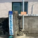 우리들의월정리 이미지