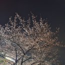 안양아트센터_하 이미지