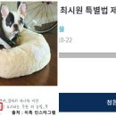 벅시 - 중구 종로 35 | 벅시