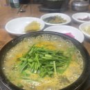 동화메추어탕 | 강서구청 맛집 추천, 추어탕 맛집! <동화메추어탕> 후기