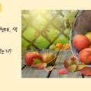 그림책 퍼실리테이터 이미지