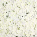 뮤플라워 이미지