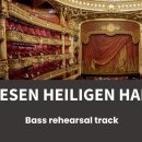 Die Zauberflöte："In diesen heil'gen Hallen"(BASS) 이미지