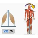 안다미로필라테스 이미지