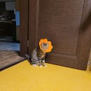 문덕동물병원 이미지