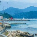 시방항여객터미널 이미지