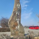 천주교순례길_2코스_배나드리성지_삽교성당 티스토리