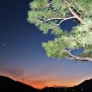 "충주 愛 퐁당" 충주 농촌체험- 중앙탑공원(야간) 이미지