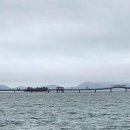 퍼플여행 이미지