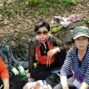 동락초등학교 이미지