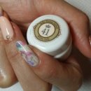 벨라코리아 이미지