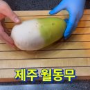 제주미식회 이미지