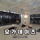 교정요가A | 안산요가 추천 요가데이즈 골반교정 수업 후기 새솔동플라잉요가 요가 스튜디오