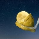 레몬의 꿈 이미지