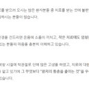 메디헤븐 이미지