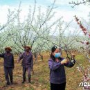 양강농장 이미지