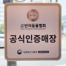 아담스펫 강아지분양 고양이분양 창원점 이미지