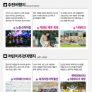 제주 유리의 성 | 🎢 핫플+액티비티+카페! 제주여행은 ‘제주투어패스’ 하나로 All-In-One 🏝️