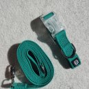 팔레트멍 이미지