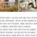 명품세탁소 이미지