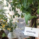 르뮤플라워