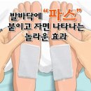파스 이미지