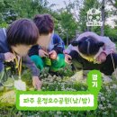 보람어린이공원 | 경기 파주운정호수공원 깨비의숲마을 유아 초등 어린이 주말 자연 곤충 숲체험 학습