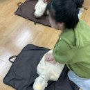 유덕초등학교 이미지