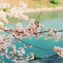 봄이오는소리공인중개사사무소 이미지